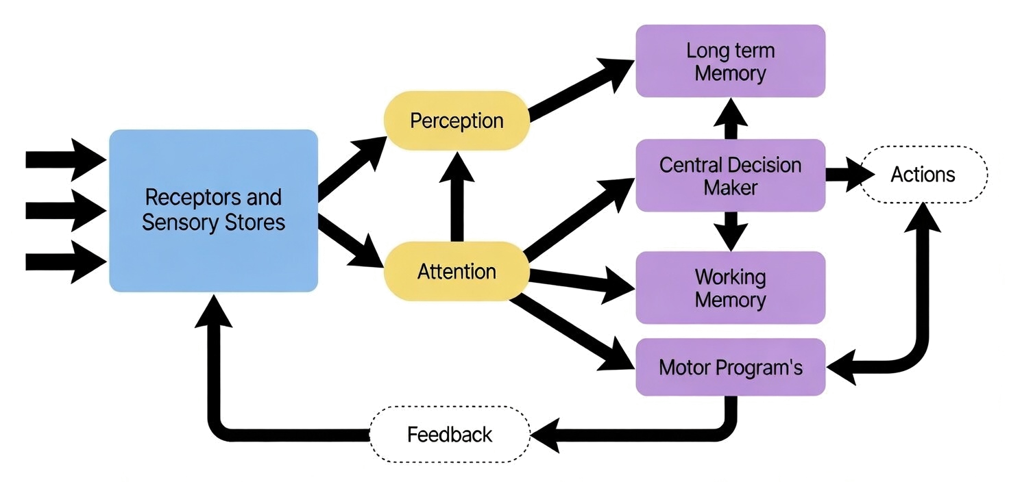 Human Information Processing model